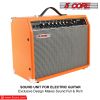 Electric Guitar Amplifier 40W Solid State Mini Bass Amp w 8' 4-Ohm Speaker EQ Controls Drive Delay ¬º' Microphone Input Aux in & Headphone Jack for St